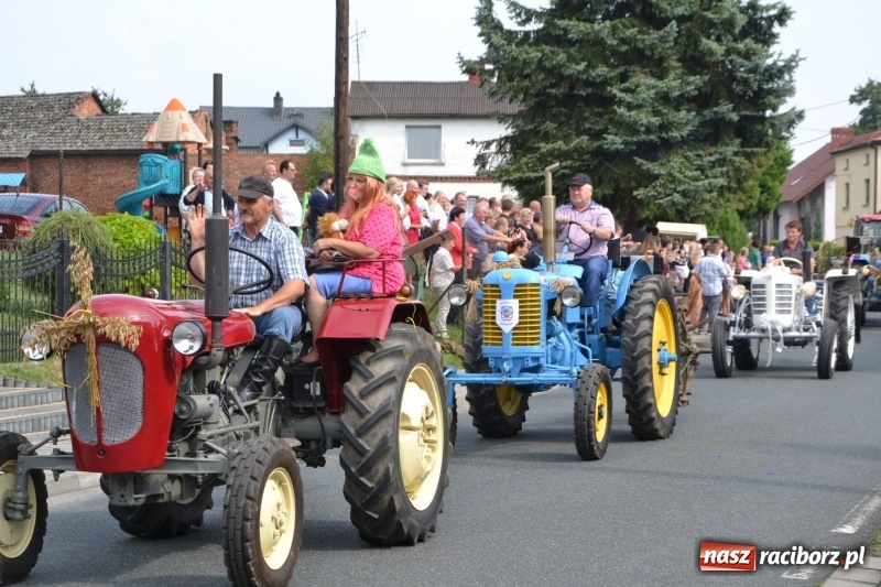 Zdjęcie w galerii na portalu naszraciborz.pl: Kolorowo i cyrkowo na dożynkach w Rudyszwałdzie  wiadomości z regionu