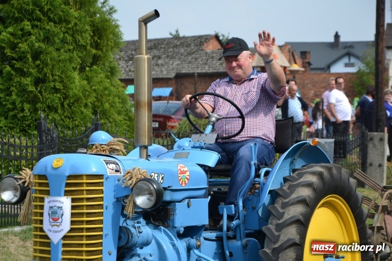 Zdjęcie w galerii na portalu naszraciborz.pl: Kolorowo i cyrkowo na dożynkach w Rudyszwałdzie  wiadomości z regionu