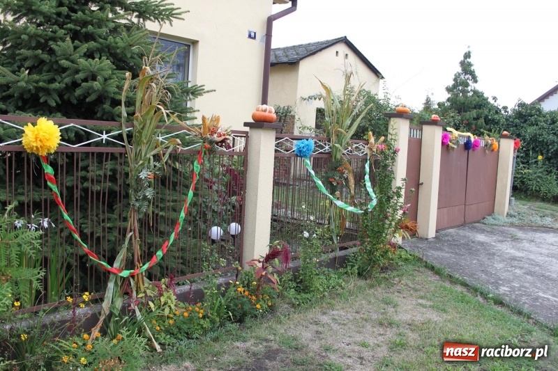 Zdjęcie w galerii na portalu naszraciborz.pl: Dożynki 2018. Wojnowice świętowały parafialnie wiadomości z regionu