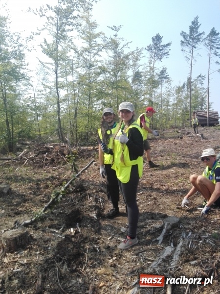 Zdjęcie w galerii na portalu naszraciborz.pl: Raciborscy harcerze na zlocie ZHP w Gdańsku  wiadomości z regionu