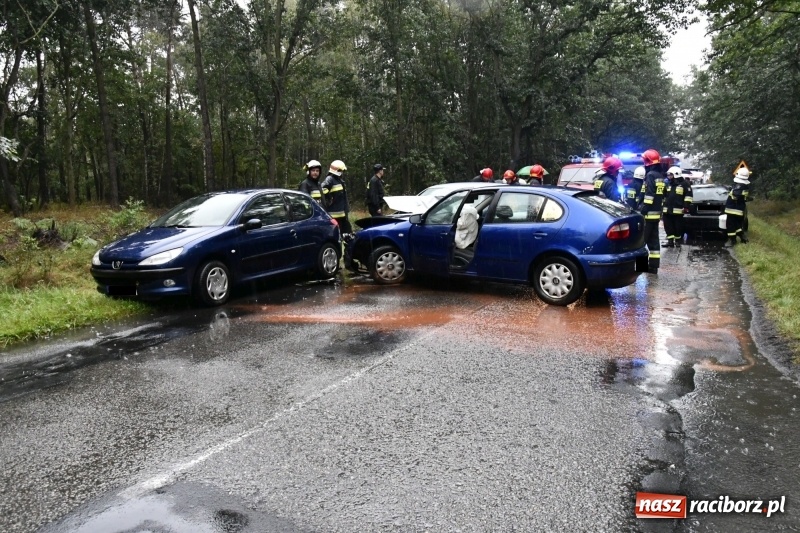 Zdjęcie w galerii na portalu naszraciborz.pl: Wypadek na DW 425 Kuźnia-Solarnia. Ranna kobieta i dwójka jej dzieci  wiadomości z regionu