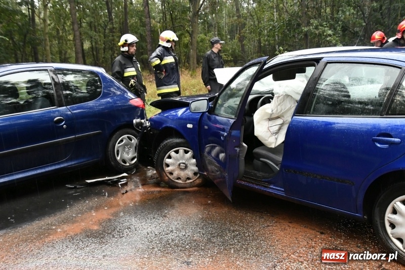 Zdjęcie w galerii na portalu naszraciborz.pl: Wypadek na DW 425 Kuźnia-Solarnia. Ranna kobieta i dwójka jej dzieci  wiadomości z regionu