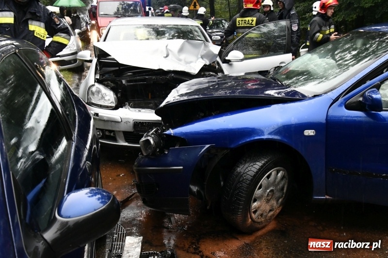 Zdjęcie w galerii na portalu naszraciborz.pl: Wypadek na DW 425 Kuźnia-Solarnia. Ranna kobieta i dwójka jej dzieci  wiadomości z regionu