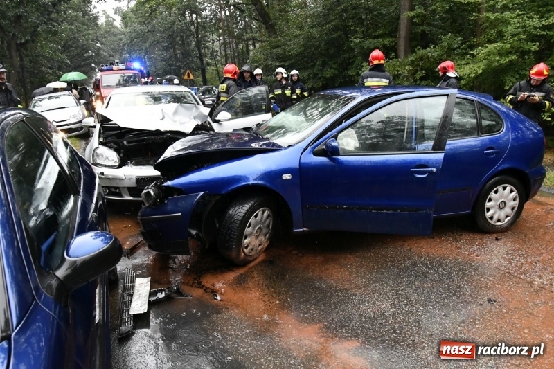 Zdjęcie w galerii na portalu naszraciborz.pl: Wypadek na DW 425 Kuźnia-Solarnia. Ranna kobieta i dwójka jej dzieci  wiadomości z regionu