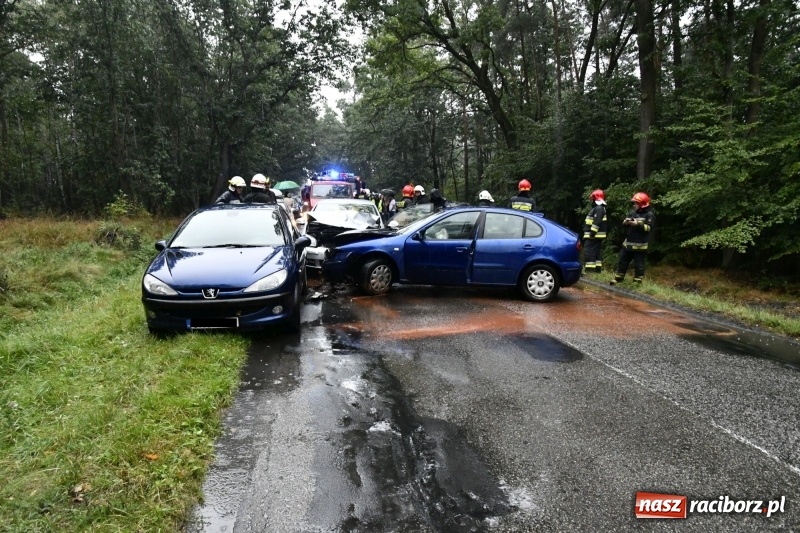Zdjęcie w galerii na portalu naszraciborz.pl: Wypadek na DW 425 Kuźnia-Solarnia. Ranna kobieta i dwójka jej dzieci  wiadomości z regionu