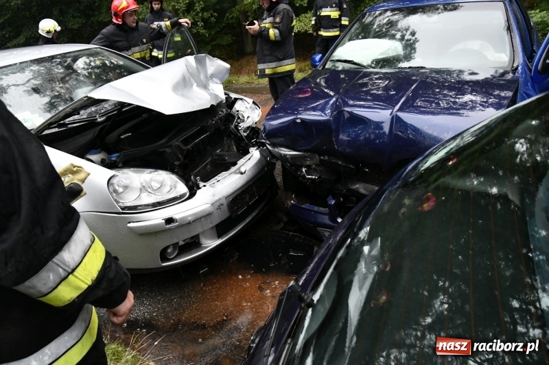 Zdjęcie w galerii na portalu naszraciborz.pl: Wypadek na DW 425 Kuźnia-Solarnia. Ranna kobieta i dwójka jej dzieci  wiadomości z regionu