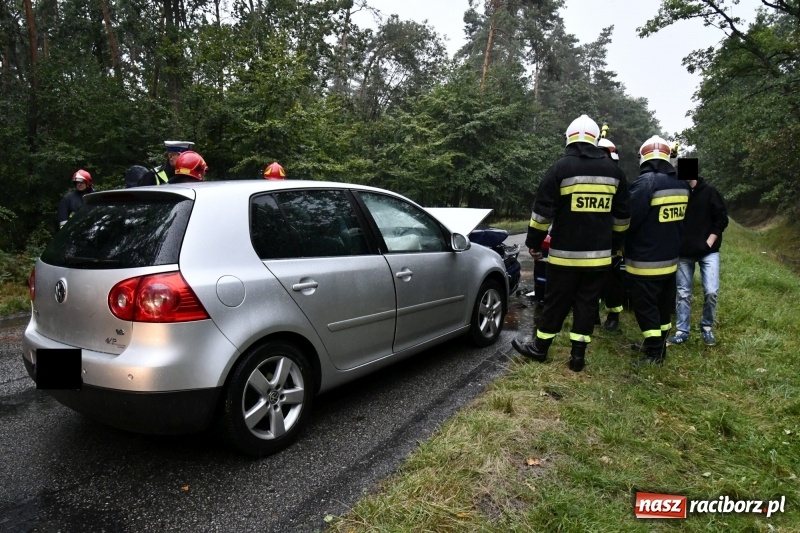 Zdjęcie w galerii na portalu naszraciborz.pl: Wypadek na DW 425 Kuźnia-Solarnia. Ranna kobieta i dwójka jej dzieci  wiadomości z regionu