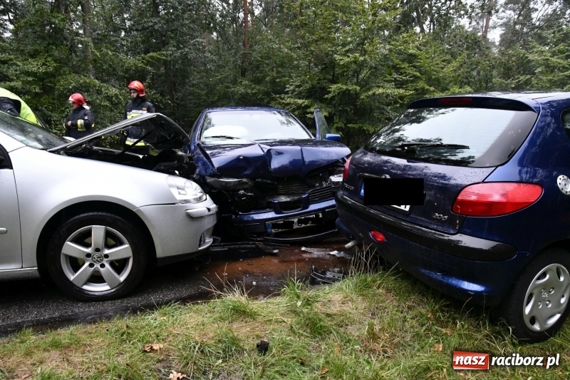Zdjęcie w galerii na portalu naszraciborz.pl: Wypadek na DW 425 Kuźnia-Solarnia. Ranna kobieta i dwójka jej dzieci  wiadomości z regionu
