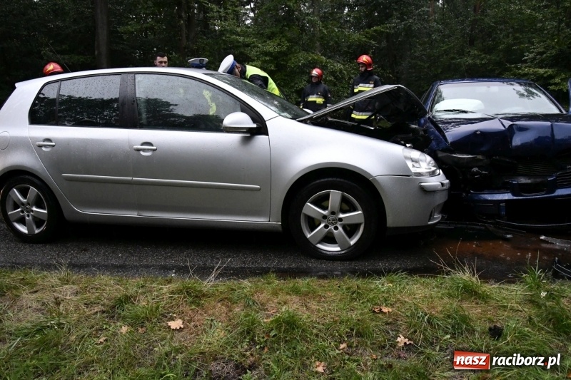 Zdjęcie w galerii na portalu naszraciborz.pl: Wypadek na DW 425 Kuźnia-Solarnia. Ranna kobieta i dwójka jej dzieci  wiadomości z regionu