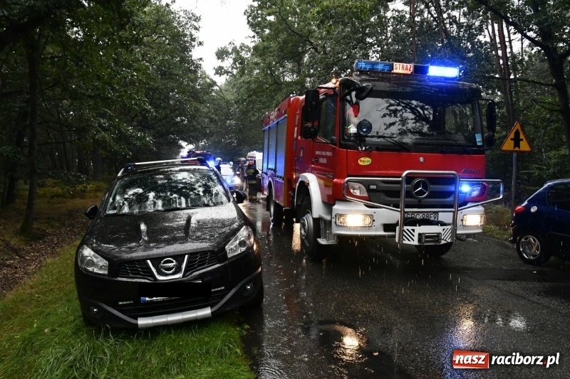 Zdjęcie w galerii na portalu naszraciborz.pl: Wypadek na DW 425 Kuźnia-Solarnia. Ranna kobieta i dwójka jej dzieci  wiadomości z regionu