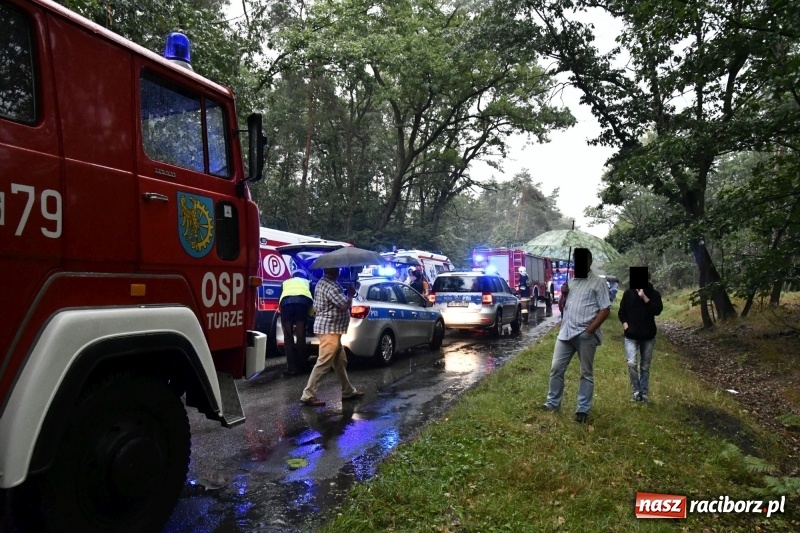 Zdjęcie w galerii na portalu naszraciborz.pl: Wypadek na DW 425 Kuźnia-Solarnia. Ranna kobieta i dwójka jej dzieci  wiadomości z regionu