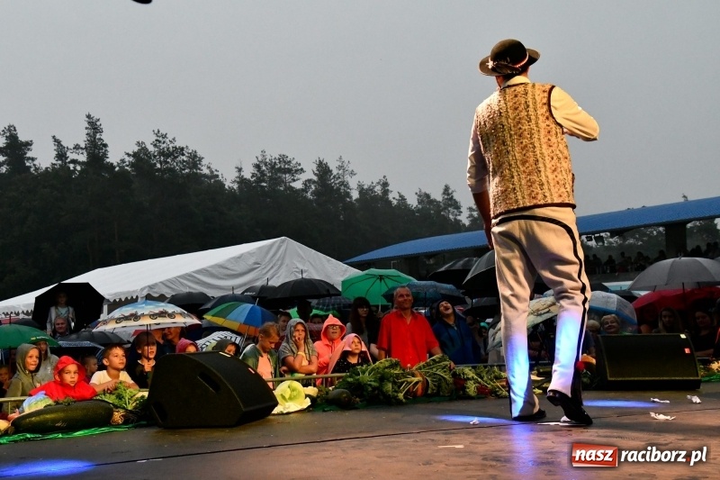 Zdjęcie w galerii na portalu naszraciborz.pl: Kabaret Młodych Panów na finał Dni Kuźni Raciborskiej wiadomości z regionu