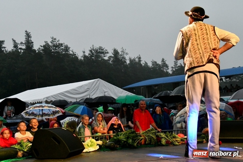 Zdjęcie w galerii na portalu naszraciborz.pl: Kabaret Młodych Panów na finał Dni Kuźni Raciborskiej wiadomości z regionu