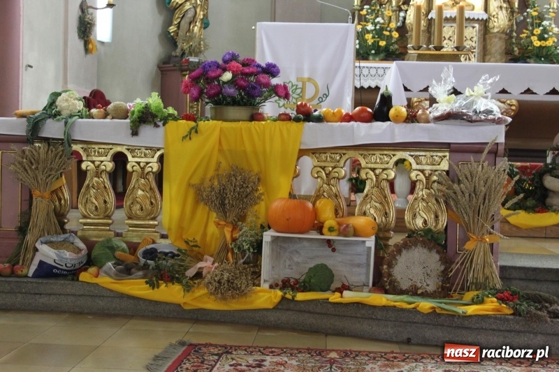 Zdjęcie w galerii na portalu naszraciborz.pl: Ulewa nie przeszkodziła w zabawie dożynkowej w Wojnowicach  wiadomości z regionu