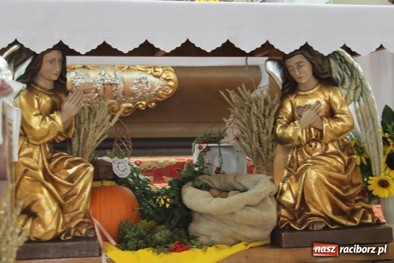 Zdjęcie w galerii na portalu naszraciborz.pl: Ulewa nie przeszkodziła w zabawie dożynkowej w Wojnowicach  wiadomości z regionu