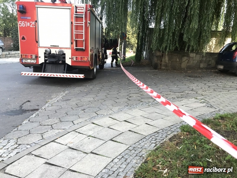 Zdjęcie w galerii na portalu naszraciborz.pl: Ewakuacja mieszkańców bloku przy ulicy Odrzańskiej. Na strychu znaleziono pocisk wiadomości z regionu