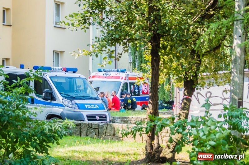 Zdjęcie w galerii na portalu naszraciborz.pl: Ewakuacja mieszkańców bloku przy ulicy Odrzańskiej. Na strychu znaleziono pocisk wiadomości z regionu