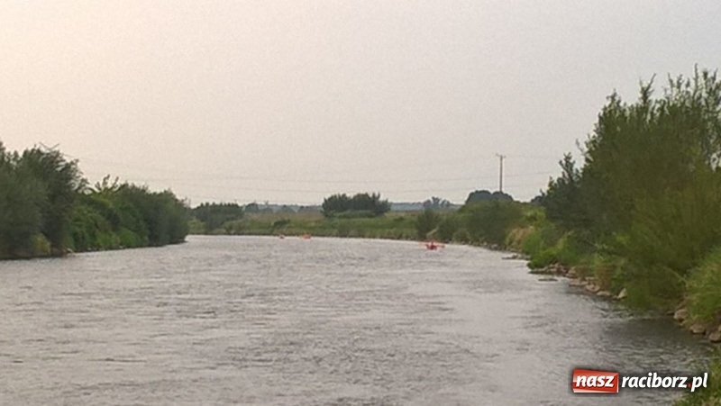 Zdjęcie w galerii na portalu naszraciborz.pl: Ratownicy raciborskiego H2Ostróg na szkoleniu kajakarskim wiadomości z regionu