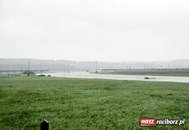 Zdjęcie w galerii na portalu naszraciborz.pl: Poziom wody w Odrze szybko rośnie wiadomości z regionu