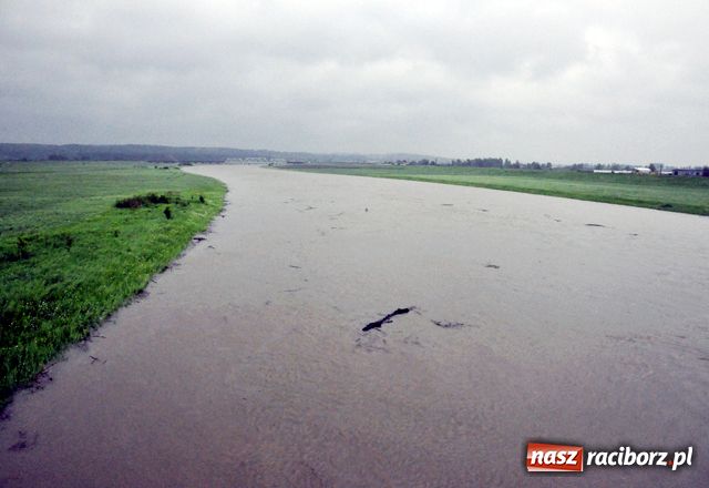Zdjęcie w galerii na portalu naszraciborz.pl: Poziom wody w Odrze szybko rośnie wiadomości z regionu