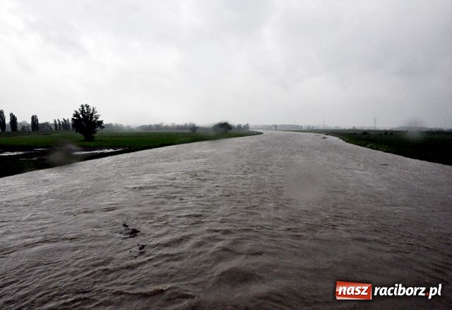Zdjęcie w galerii na portalu naszraciborz.pl: Poziom wody w Odrze szybko rośnie wiadomości z regionu