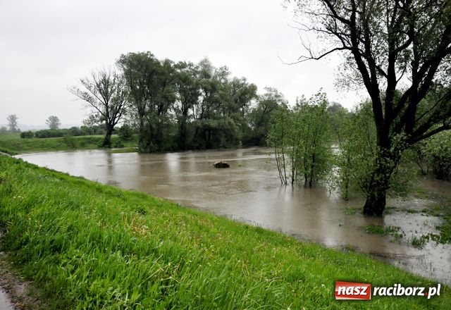 Zdjęcie w galerii na portalu naszraciborz.pl: Poziom wody w Odrze szybko rośnie wiadomości z regionu