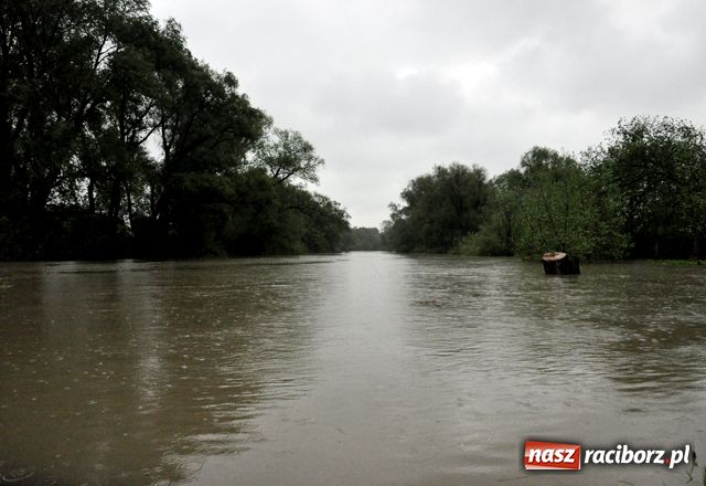 Zdjęcie w galerii na portalu naszraciborz.pl: Poziom wody w Odrze szybko rośnie wiadomości z regionu