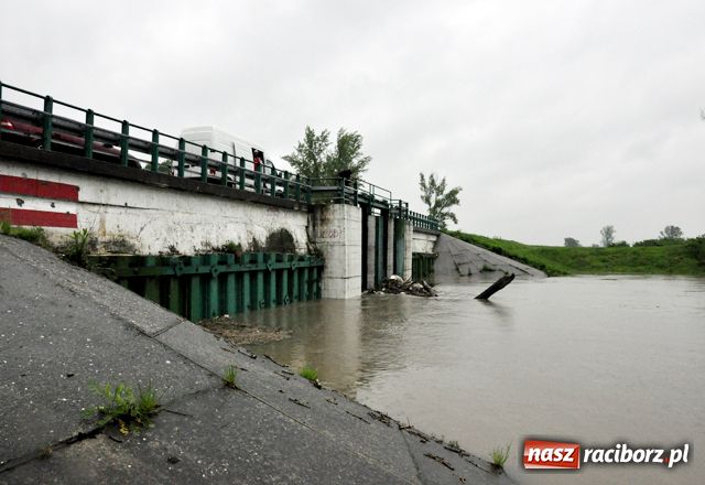 Zdjęcie w galerii na portalu naszraciborz.pl: Poziom wody w Odrze szybko rośnie wiadomości z regionu