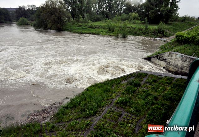 Zdjęcie w galerii na portalu naszraciborz.pl: Poziom wody w Odrze szybko rośnie wiadomości z regionu