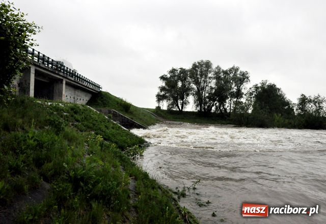 Zdjęcie w galerii na portalu naszraciborz.pl: Poziom wody w Odrze szybko rośnie wiadomości z regionu