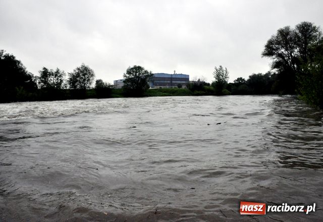 Zdjęcie w galerii na portalu naszraciborz.pl: Poziom wody w Odrze szybko rośnie wiadomości z regionu