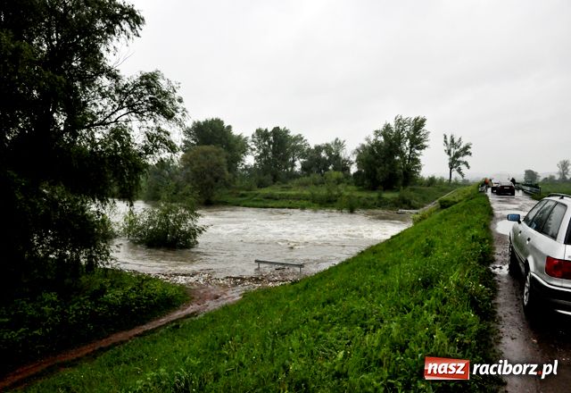 Zdjęcie w galerii na portalu naszraciborz.pl: Poziom wody w Odrze szybko rośnie wiadomości z regionu