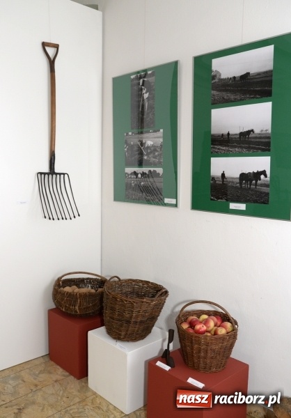 Zdjęcie w galerii na portalu naszraciborz.pl: Dawne narzędzia rolnicze. Od dziś nowa wystawa w raciborskim Muzeum wiadomości z regionu