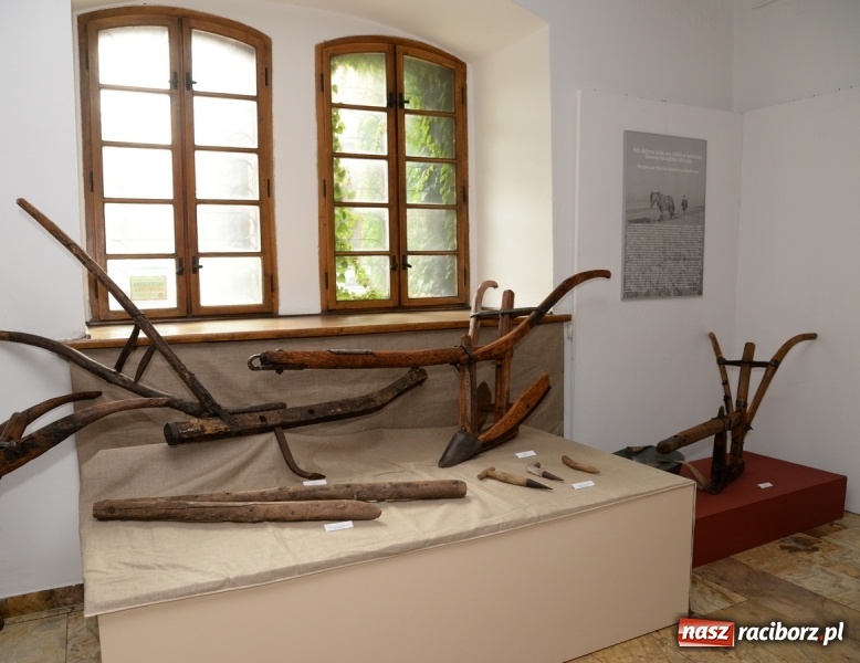 Zdjęcie w galerii na portalu naszraciborz.pl: Dawne narzędzia rolnicze. Od dziś nowa wystawa w raciborskim Muzeum wiadomości z regionu