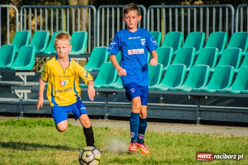 Zdjęcie w galerii na portalu naszraciborz.pl: Choć bramkarz Górek Śląskich dwoił się i troił, to swego zespołu przed porażką nie uchronił wiadomości z regionu