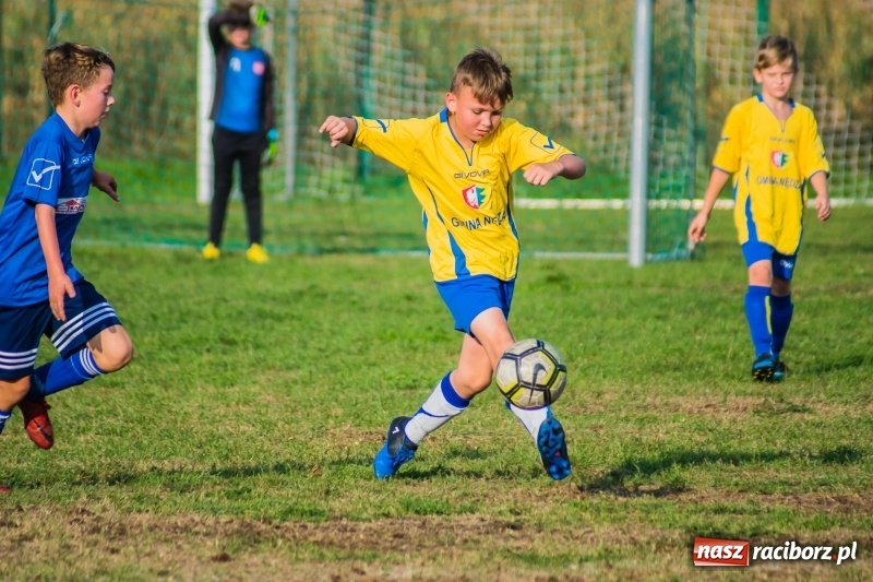 Zdjęcie w galerii na portalu naszraciborz.pl: Choć bramkarz Górek Śląskich dwoił się i troił, to swego zespołu przed porażką nie uchronił wiadomości z regionu