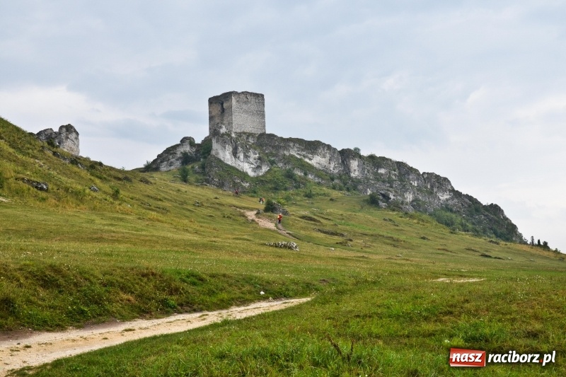 Zdjęcie w galerii na portalu naszraciborz.pl:  Rowerowy Cyprzanów Szlakiem Orlich Gniazd wiadomości z regionu