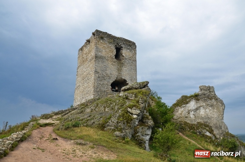 Zdjęcie w galerii na portalu naszraciborz.pl:  Rowerowy Cyprzanów Szlakiem Orlich Gniazd wiadomości z regionu