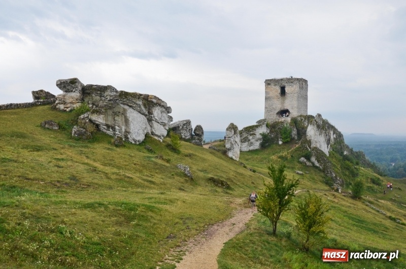 Zdjęcie w galerii na portalu naszraciborz.pl:  Rowerowy Cyprzanów Szlakiem Orlich Gniazd wiadomości z regionu