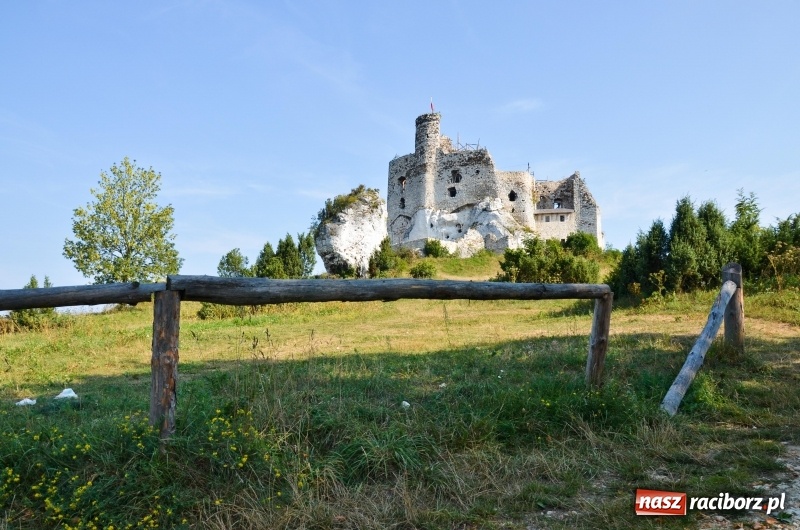 Zdjęcie w galerii na portalu naszraciborz.pl:  Rowerowy Cyprzanów Szlakiem Orlich Gniazd wiadomości z regionu