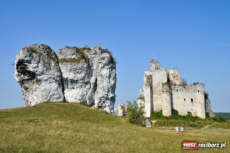 Zdjęcie w galerii na portalu naszraciborz.pl:  Rowerowy Cyprzanów Szlakiem Orlich Gniazd wiadomości z regionu
