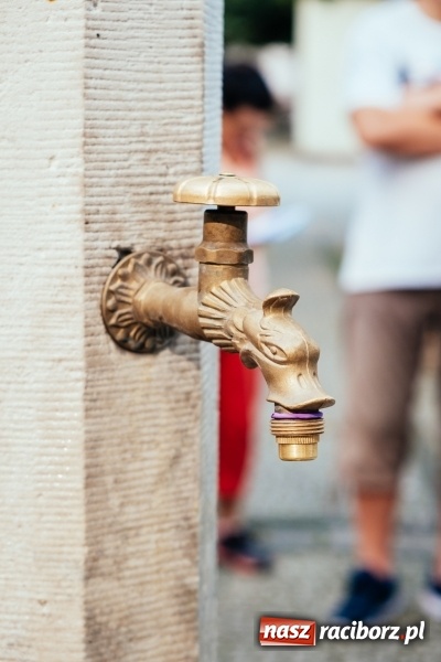 Zdjęcie w galerii na portalu naszraciborz.pl: Macie się czym pochwalić, czyli branża turystyczna zachwycona Ziemią Raciborską!  wiadomości z regionu