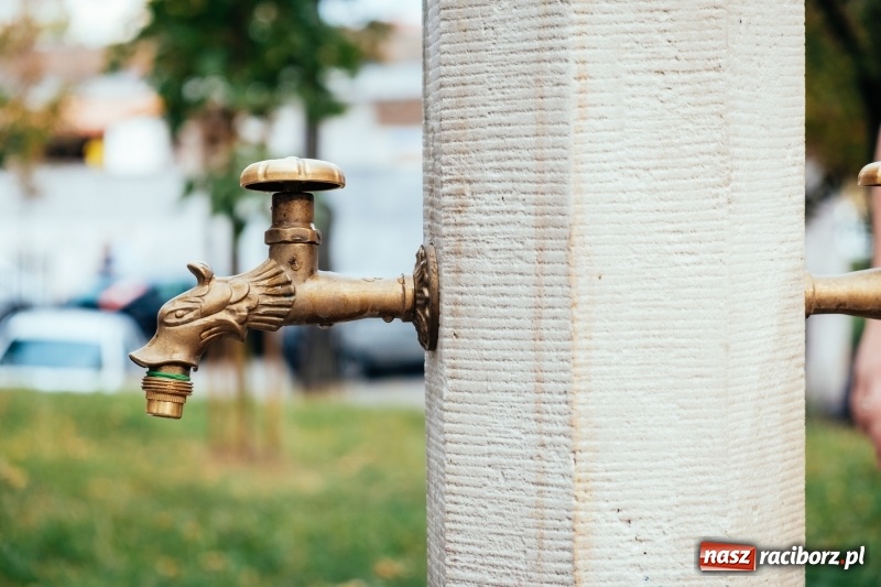 Zdjęcie w galerii na portalu naszraciborz.pl: Macie się czym pochwalić, czyli branża turystyczna zachwycona Ziemią Raciborską!  wiadomości z regionu