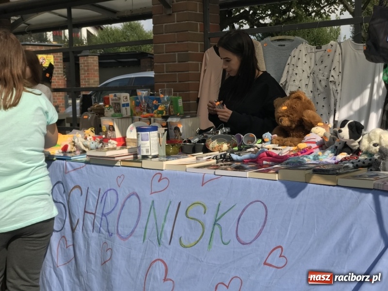 Zdjęcie w galerii na portalu naszraciborz.pl: Pierwszy raciborski pchli targ wiadomości z regionu