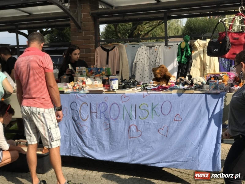 Zdjęcie w galerii na portalu naszraciborz.pl: Pierwszy raciborski pchli targ wiadomości z regionu