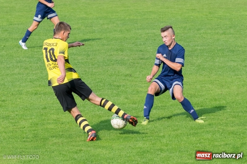 Zdjęcie w galerii na portalu naszraciborz.pl: B klasa. Buków przerwał zwycięską passę Górek Śląskich wiadomości z regionu