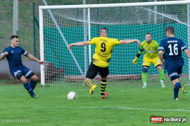 Zdjęcie w galerii na portalu naszraciborz.pl: B klasa. Buków przerwał zwycięską passę Górek Śląskich wiadomości z regionu