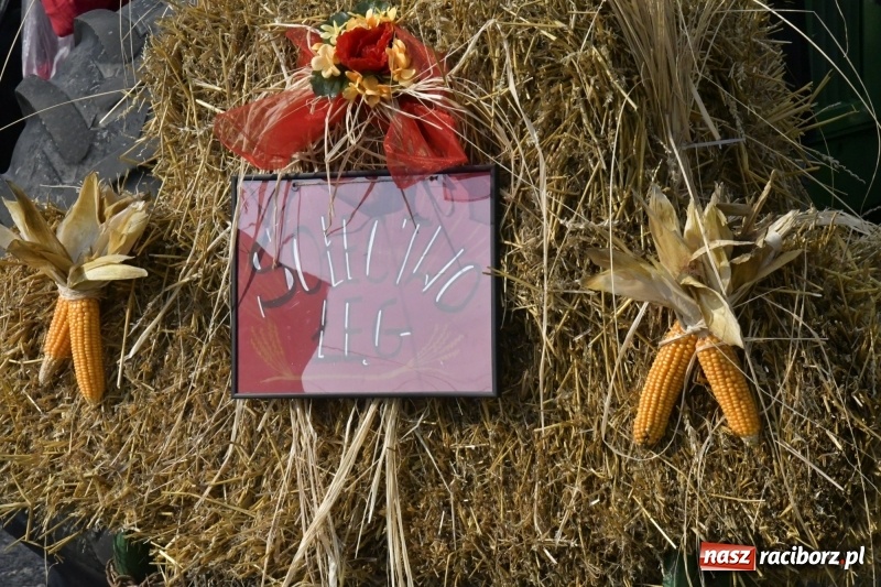 Zdjęcie w galerii na portalu naszraciborz.pl: Łęg gospodarzem dożynek w Zawadzie Książęcej FOTO i WIDEO wiadomości z regionu