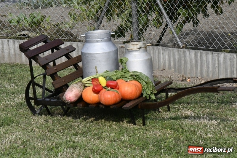 Zdjęcie w galerii na portalu naszraciborz.pl: Łęg gospodarzem dożynek w Zawadzie Książęcej FOTO i WIDEO wiadomości z regionu