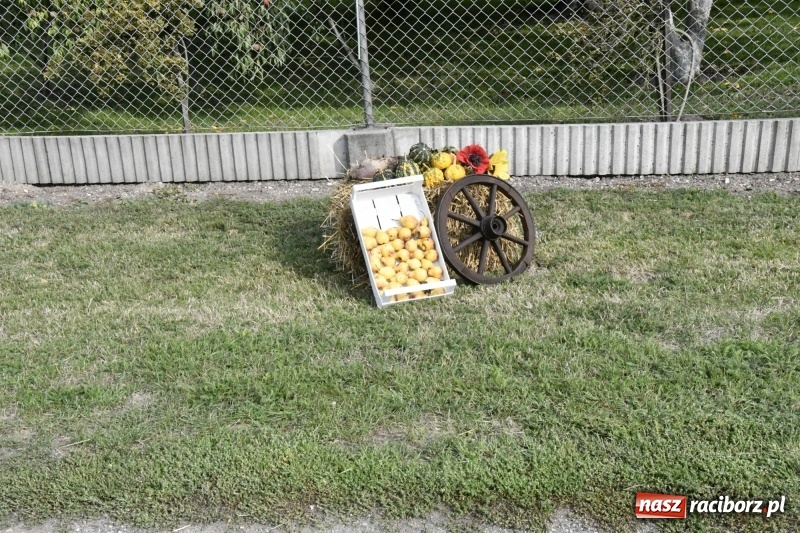 Zdjęcie w galerii na portalu naszraciborz.pl: Łęg gospodarzem dożynek w Zawadzie Książęcej FOTO i WIDEO wiadomości z regionu